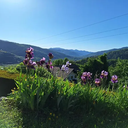 Les Hauts Du Schliffels