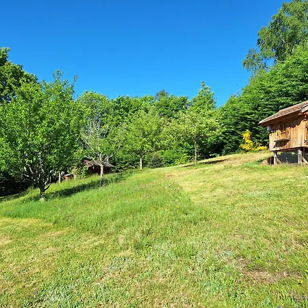Les Hauts Du Schliffels Chalet Fellering